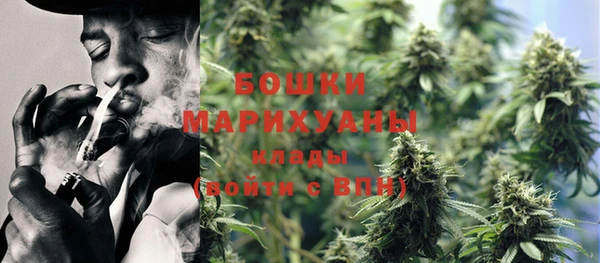 PSILOCYBIN Верея
