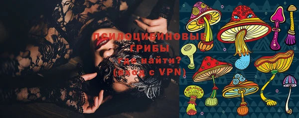 PSILOCYBIN Верея