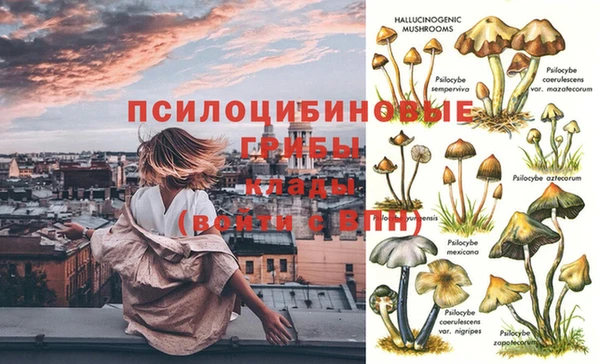 PSILOCYBIN Верея