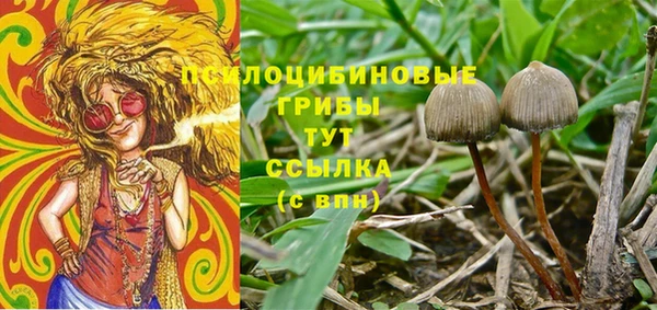 PSILOCYBIN Верея