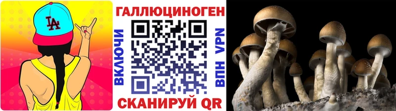 OMG ССЫЛКА  Пушкино  Псилоцибиновые грибы ЛСД 
